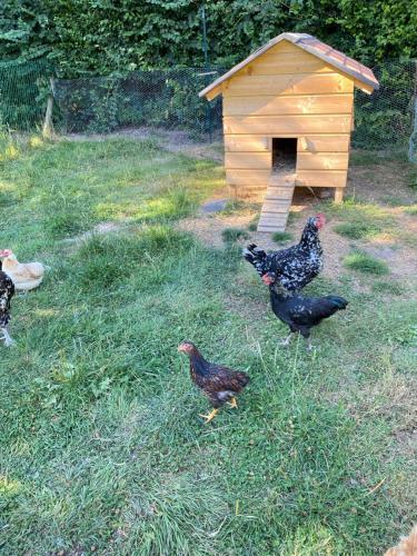 La Petite Ferme