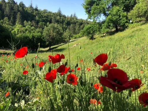 Apartamento Logement Calme Avec Vue Sur Le Luberon