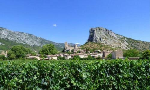 Agroturismo Bergerie Du Pic Saint-loup