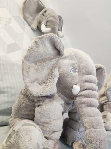 Zoolog�te