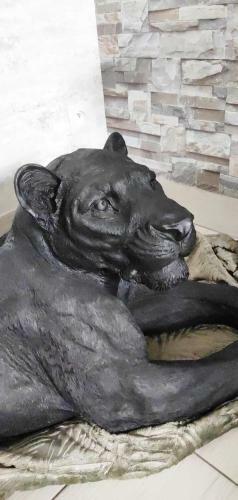 Zoolog�te