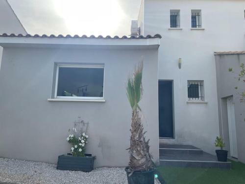 Magnifique Villa Avec Piscine 15min de Montpellier