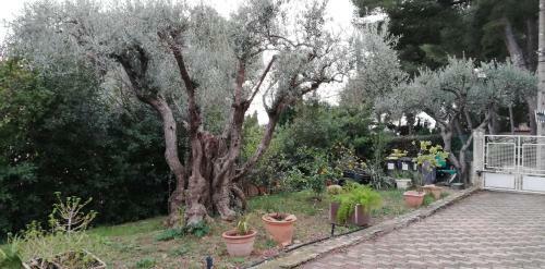 Maison Familiale Jardin Parking, 10 Min Plage, 1*