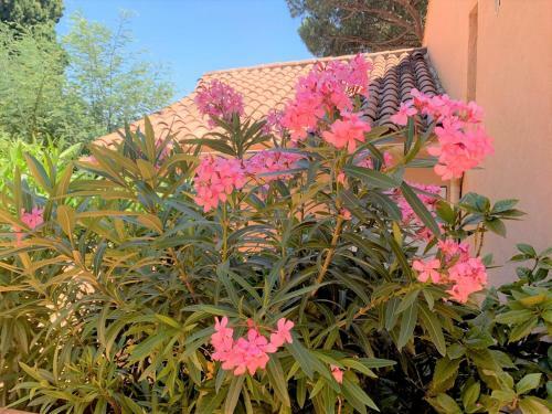 Apartamento La Madrague