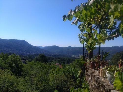 Hostal Les Jardins D'arbousse