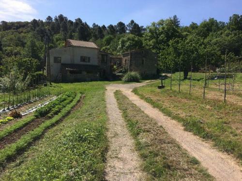 Bed & Breakfast L Ayrolle Basse