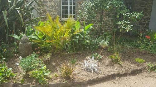 Plantation de Poivre La Petite Rivi�re
