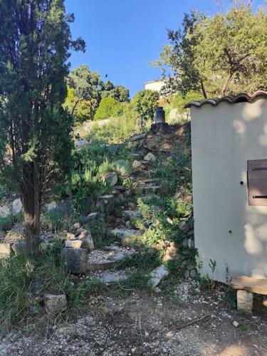 Maison Dans Un �crin De Ch�nes Proven�ale