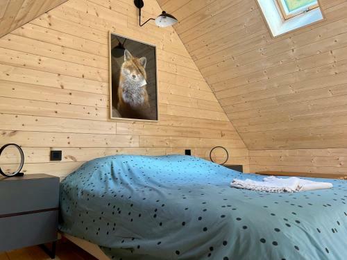 Z Lodges