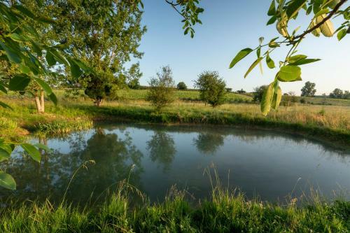 Bed & Breakfast Suite Campagnarde de 40 M2 Avec Vue Sur Les Vignes