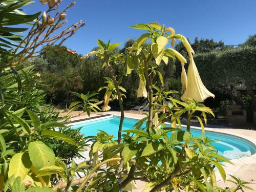Hostal Les Chambres D'amis