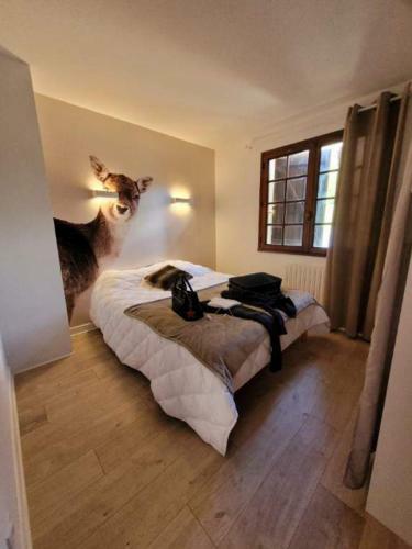 Maison 15 Personnes Aux Pieds Des Pyr�n�es