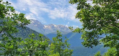 Maison 15 Personnes Aux Pieds Des Pyr�n�es