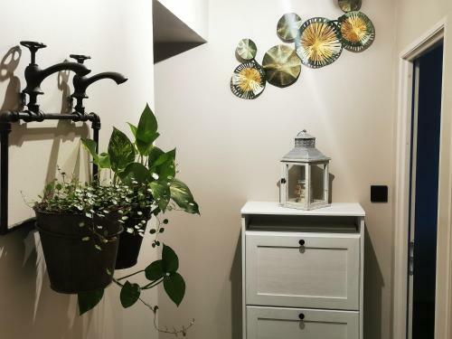 Apartamento Chez John
