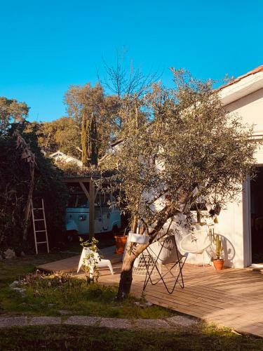 Villa � Hossegor Avec Sauna Et Jacuzzi