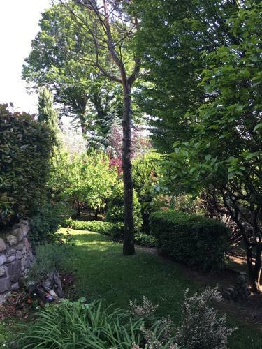 Apartamento Il Pioppo Antico