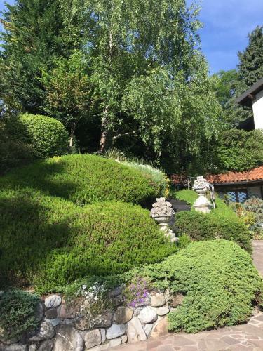 Apartamento Il Pioppo Antico