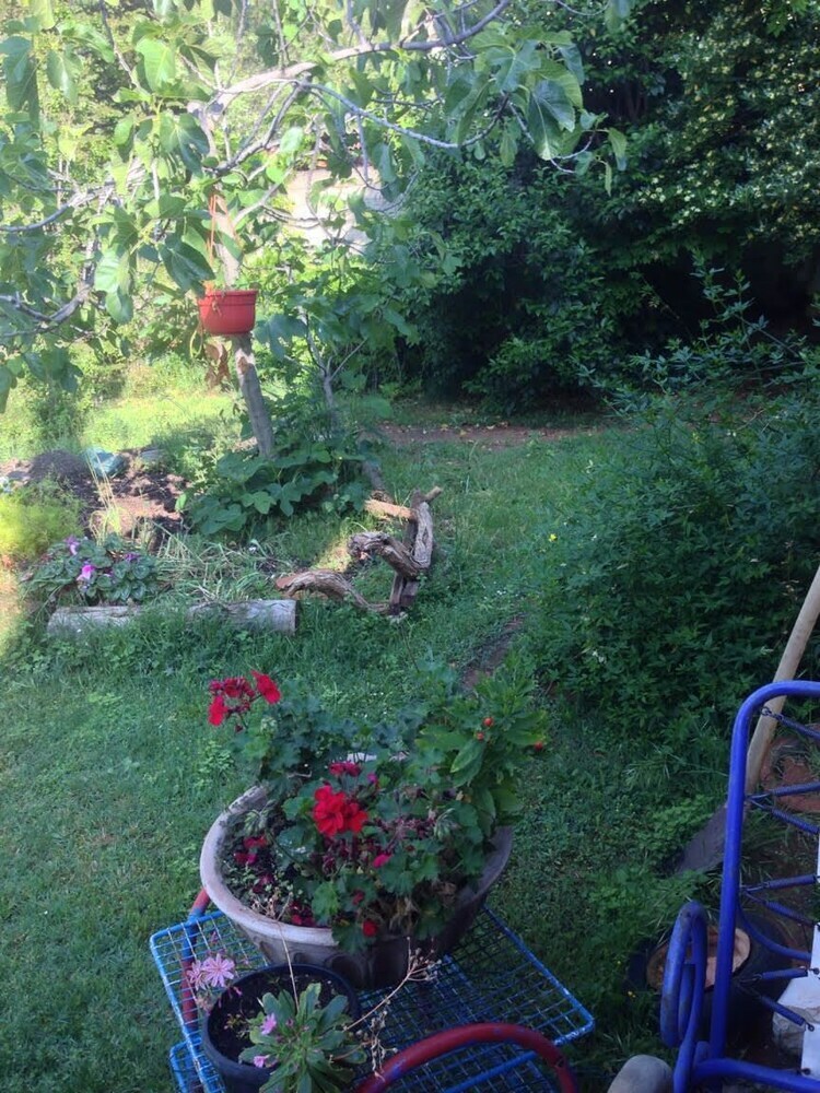 Bed & Breakfast B & B Falcone
