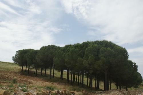 Cottage Bruca