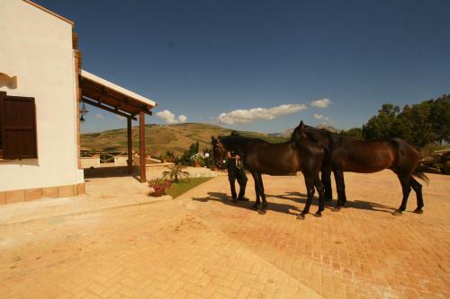Cottage Bruca