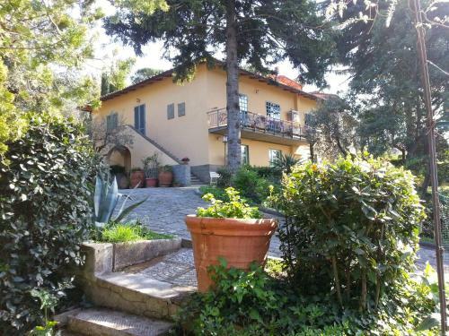 Bed & Breakfast Ulivi Di Castello