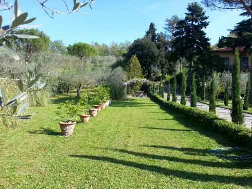 Bed & Breakfast Ulivi Di Castello