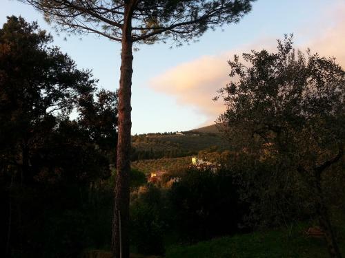 Bed & Breakfast Ulivi Di Castello
