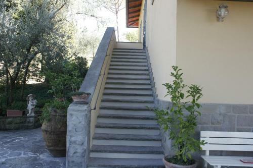 Bed & Breakfast Ulivi Di Castello