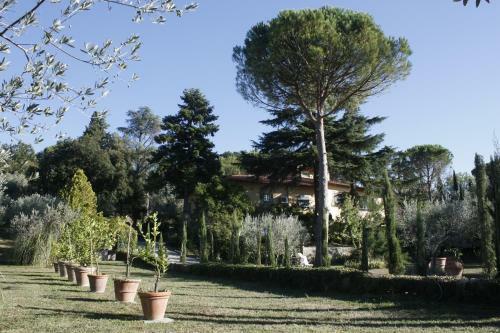 Bed & Breakfast Ulivi Di Castello