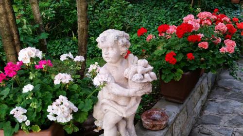 Bed & Breakfast Ulivi Di Castello