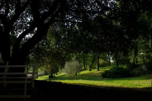 Bed & Breakfast La Colonna