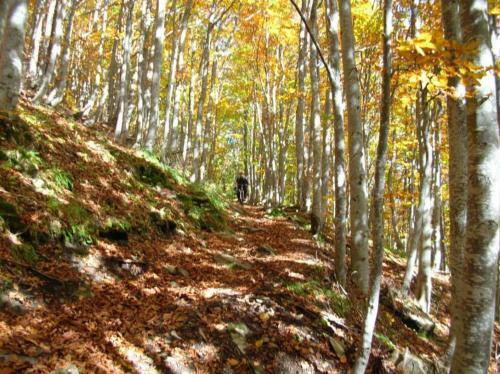 B&B Monte Ventasso
