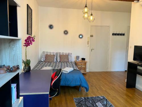 Apartamento Studio Hyper Centre , Colombette