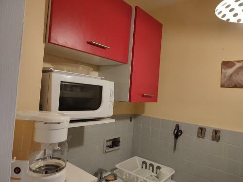 Apartamento Balcon Sur Canigou, Studio 36m� Cuisine S�par�e