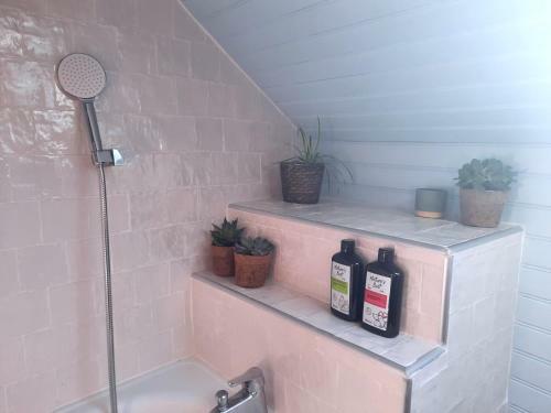 Apartamento Le Saint-blaise - Quartier Du Vieux Vichy