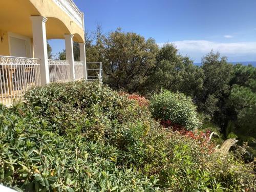 Villa Montecarlo With Stupendous View Overlooking Sea