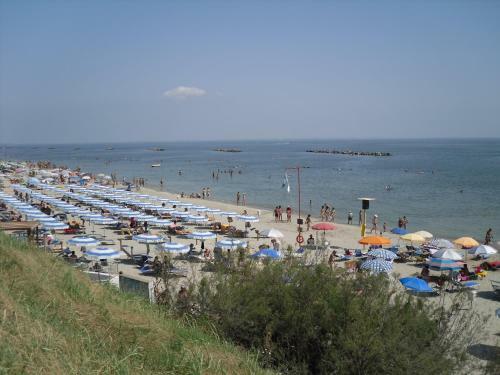 Camping Ancora