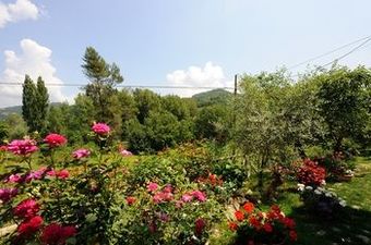 Agroturismo Agriturismo Casa Brunori