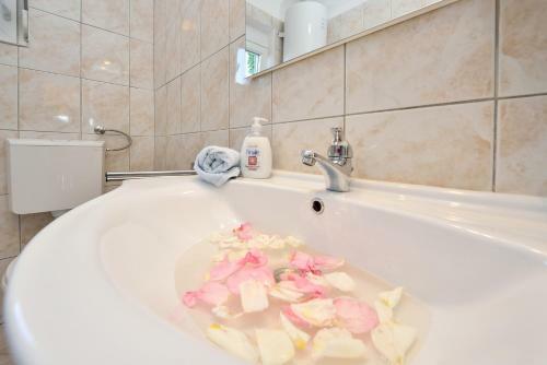 Apartman Jadranka