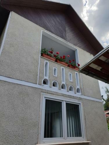 Hostal Casa Maramure?an?