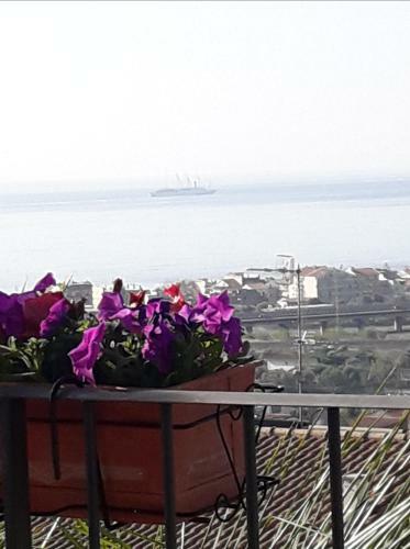 Villa Delle Palme