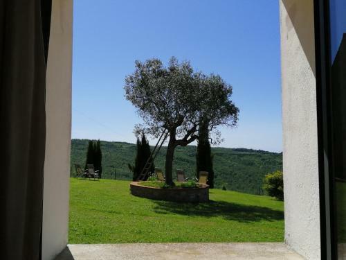 Agroturismo Agriturismo Poggio Leone