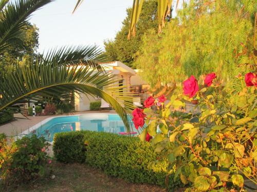 Villa Elisa B&B