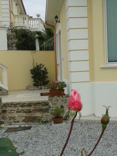 Villa Elisa B&B