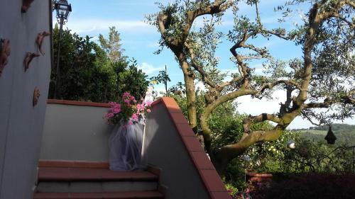 Bed & Breakfast La Luna