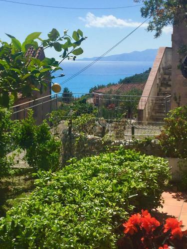 B&B Villa Rosa Angrisano