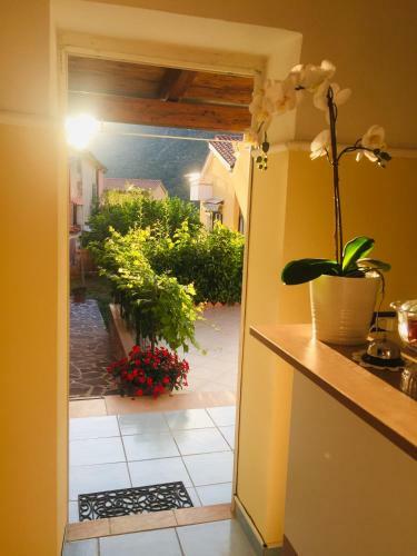 B&B Villa Rosa Angrisano