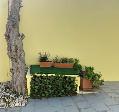 Bed & Breakfast La Piccola Mole