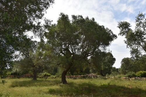 Appartamenti Vista Mare La Gemma Del Sud