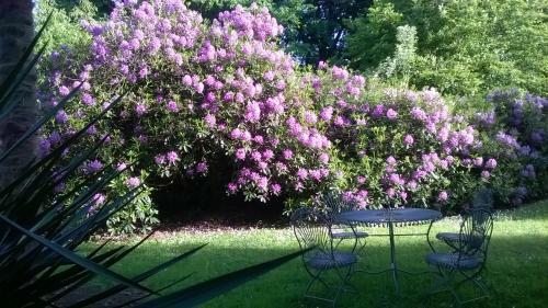 Bed & Breakfast Manoir � Tamervile